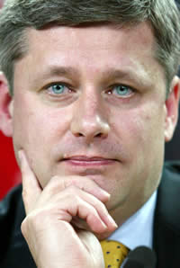 HarperSeatbelt.jpg