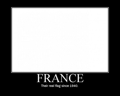 Pictures Of France Flag. france-flag.jpg